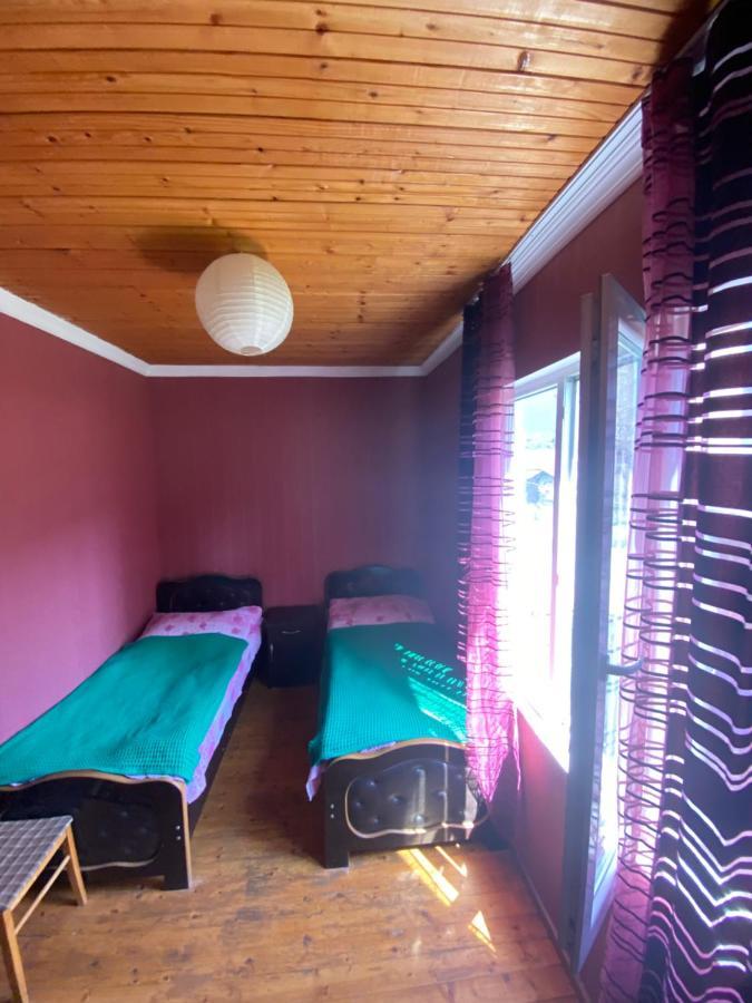 Shaulini Hotel Kashveti ภายนอก รูปภาพ