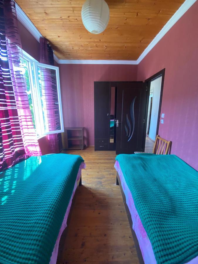 Shaulini Hotel Kashveti ภายนอก รูปภาพ