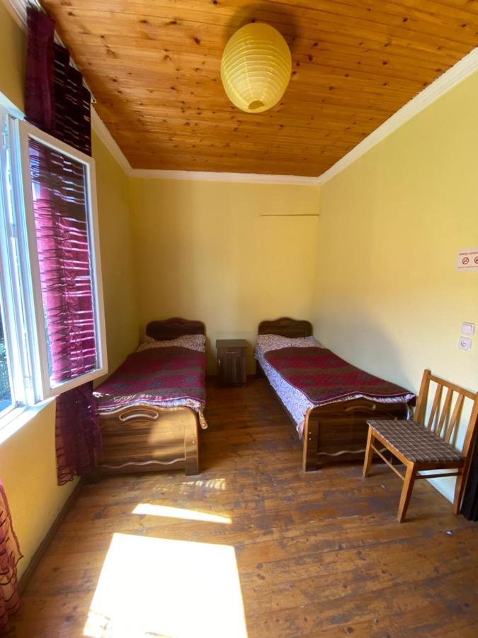 Shaulini Hotel Kashveti ภายนอก รูปภาพ