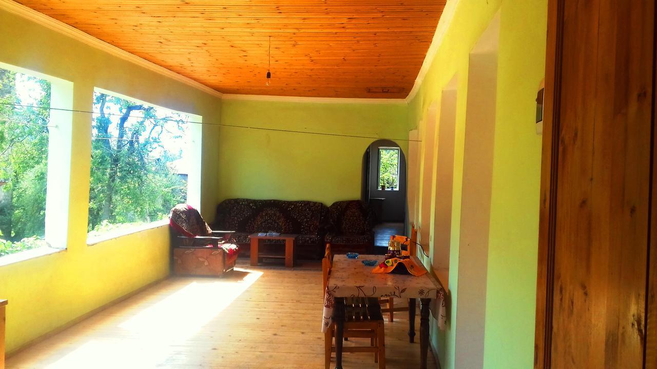 Shaulini Hotel Kashveti ภายนอก รูปภาพ
